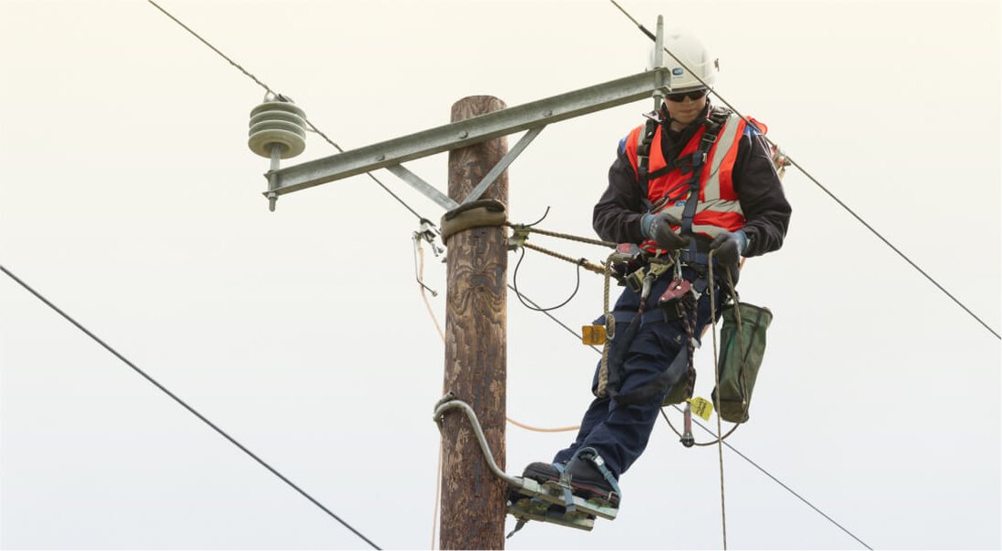 A lineworker harnessed high up a timber power pole to inspect the crossarm